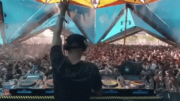party stop it GIF by Astralwerks