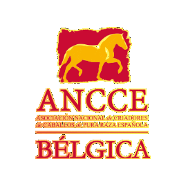 ANCCE-Bélgica Sticker