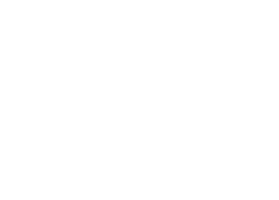 Royal Aviation Group Sticker