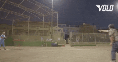 Baseball Celebrate GIF by Volo Sports