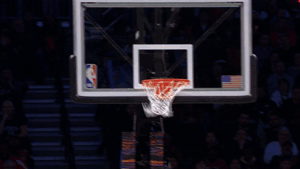celebrate brooklyn nets GIF by NBA