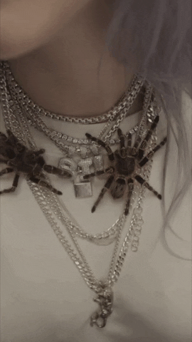 spider you should see me in a crown GIF by Interscope Records