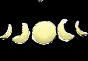 Mitsukoandco halloween moon moon cycle mitsukoandco GIF