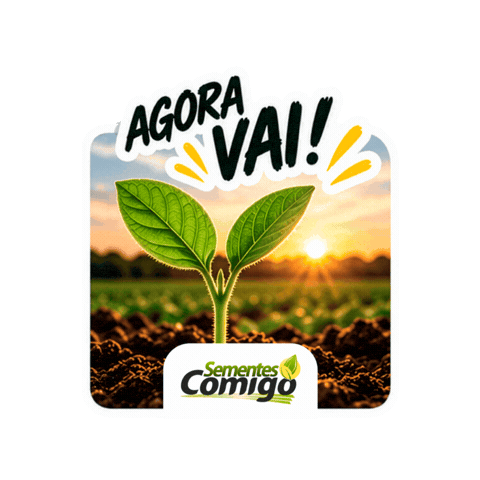 Agora Vai Sticker by Cooperativa COMIGO