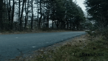 203 GIF by Blue Ice Pictures