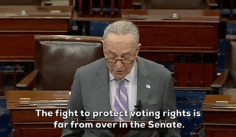 Voting Rights GIF by GIPHY News