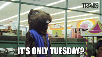 Video gif. A person in a beaver mascot costume stands in front of a grocery store at night. They turn slowly and stare at the camera with its creepy, lifeless eyes. The text says, “It’s only tuesday?”
