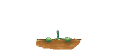 Plant Sticker
