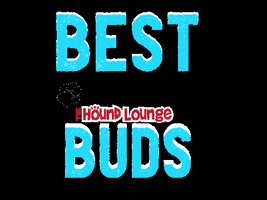 Best Buds Dog GIF by The Hound Lounge