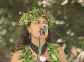 Indigenous People Hawaii GIF by GIPHY News