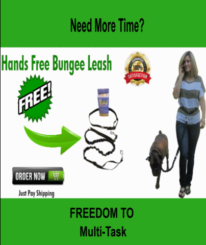 HRS hands free leash GIF