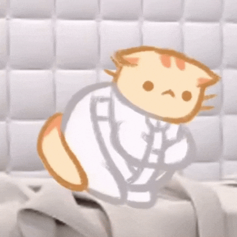 Cat GIF