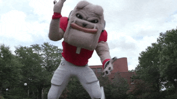 College Football Bulldogs GIF by University of Georgia