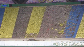 North Korea Arirang GIF