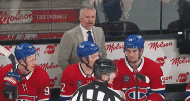 Martin St Louis Hockey GIF