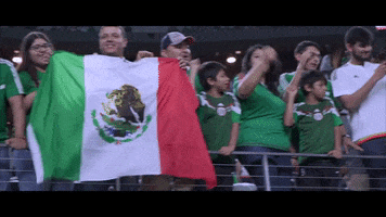 mexico fans GIF by MiSelecciónMX