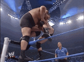 brock lesnar wow GIF by WWE