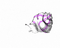 neptunyxa art illustration snail neptunyxa GIF
