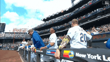 Happy Major League Baseball GIF by New York Mets