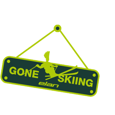 Friends Snow Sticker by Elan Sports