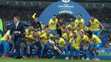 Copa America Selecao GIF by Confederação Brasileira de Futebol