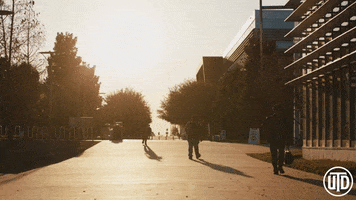 The University Of Texas At Dallas College GIF by UT Dallas