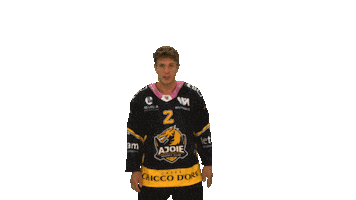 National League Hockey Sticker by HC Ajoie