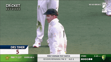 cricketcomau test cricket review keeper GIF