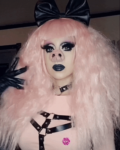 VenusEnvyDrag drag pig drag queen dragqueen GIF