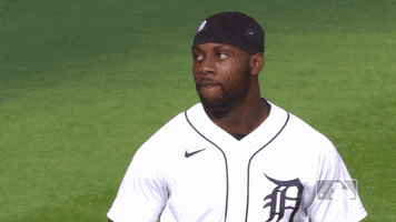 Sport Yes GIF by Detroit Tigers