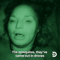 Naked And Afraid No GIF by Discovery