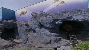 GIF by Disneyland Paris