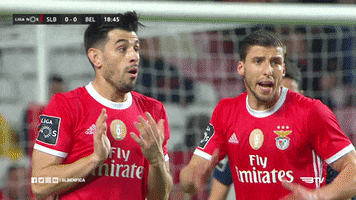 Shocked No Way GIF by Sport Lisboa e Benfica