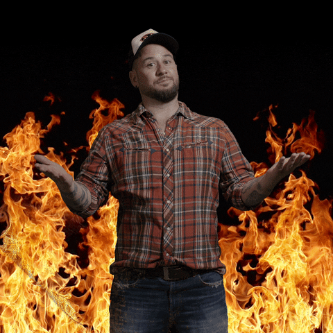 GIF by TRAUFFER