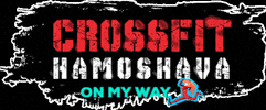 crossfithamoshava GIF