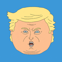 Donald Trump GIF by Nick