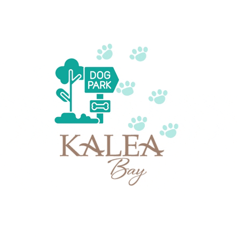 KaleaBay GIF