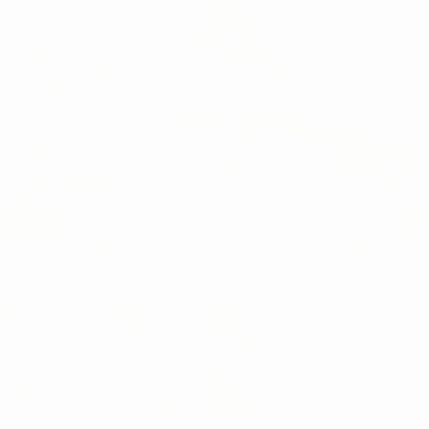 Bear creative. GIF