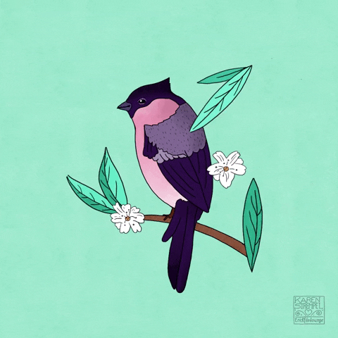 Love GIF