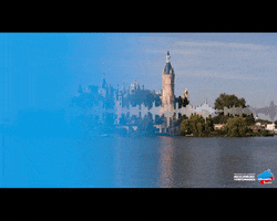 AfD- Fraktion MV GIF