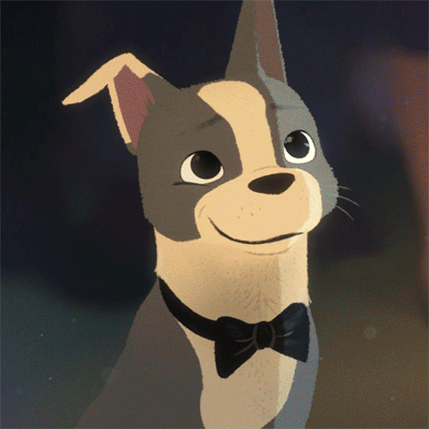 Bow Tie Smile GIF by Walt Disney Animation Studios