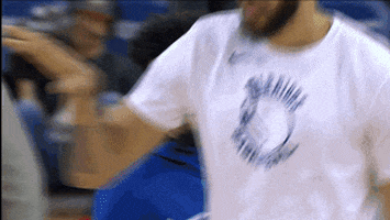 excited javale mcgee GIF by NBA