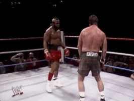 Roddy Piper Wrestling GIF by WWE