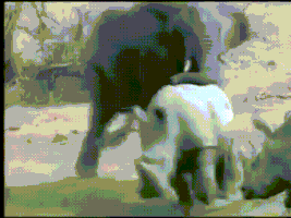 TRAMITACIÓN: Para cuándo las definitivas? - Página 2 200.gif?cid=1ca7bfe2tgi09xymn77r2qg699c040ffrrj5a72pu6s43t55&rid=200