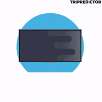 travelling good morning GIF by tripredictor