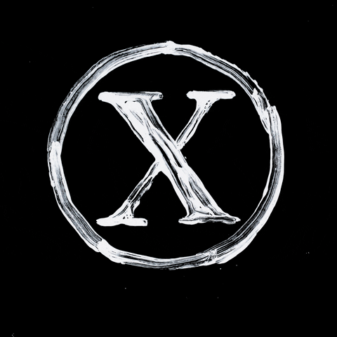 X Amount Records GIF
