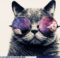 cat space GIF