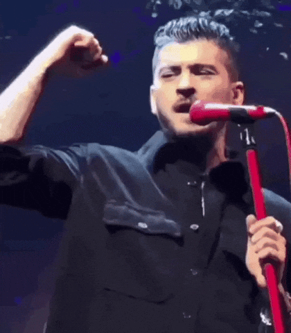 Zayn Malik GIF