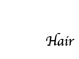 jayz Sticker
