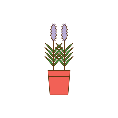 Sticker Sticker